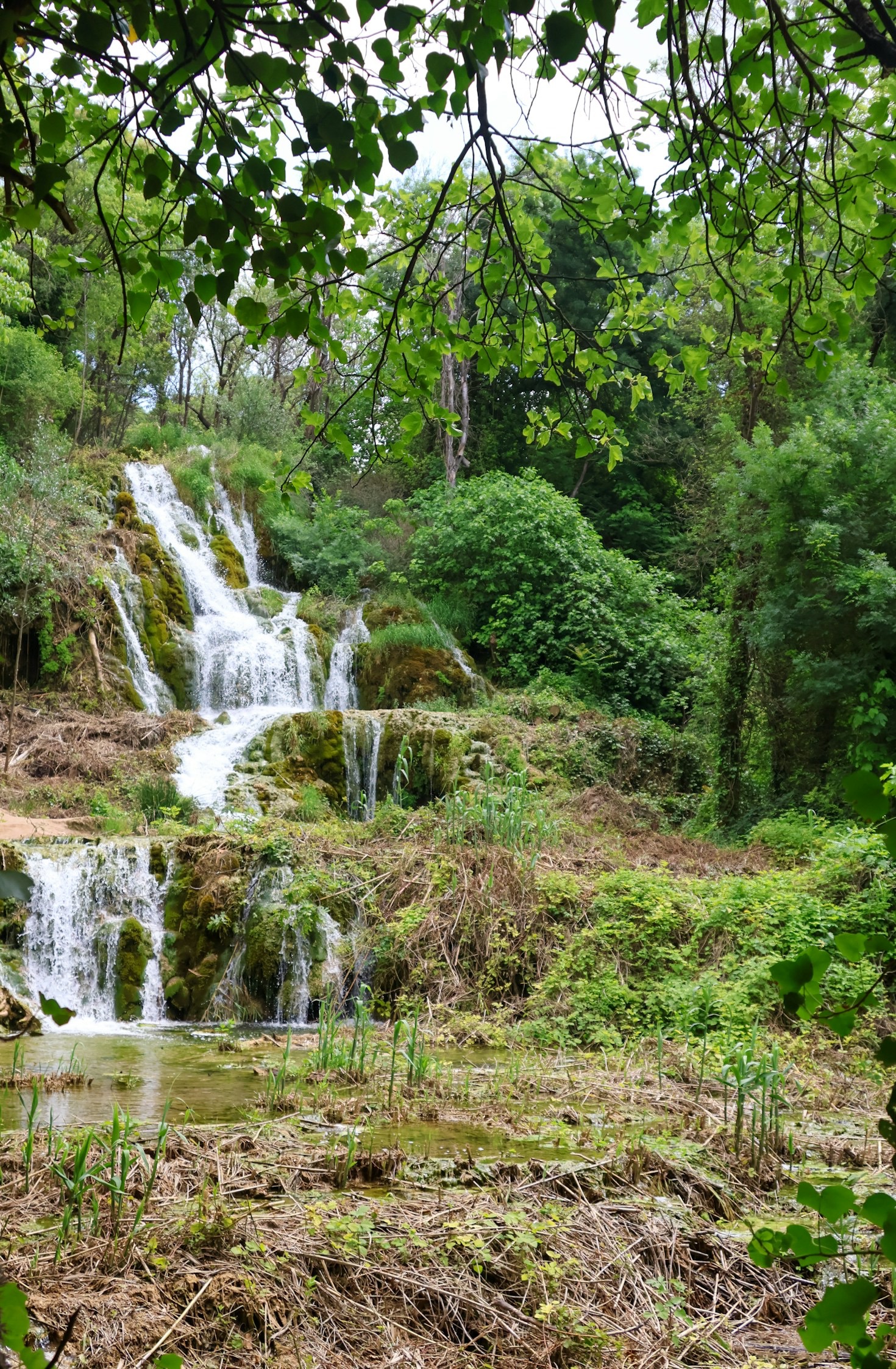 Sådan finder du de bedste familieoplevelser